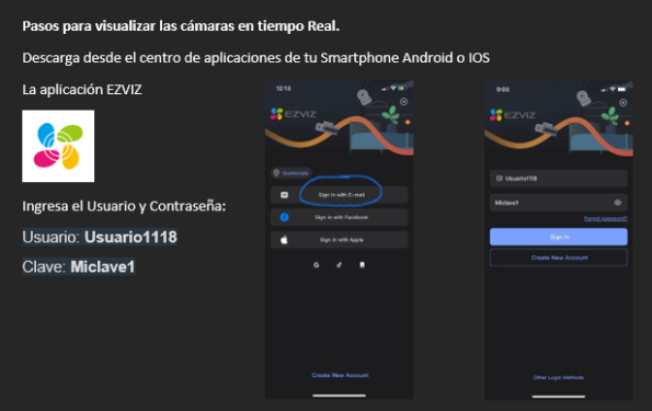 Visualizar Camaras en tiempo real